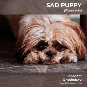 Sad Puppy by Innocent Okechukwu